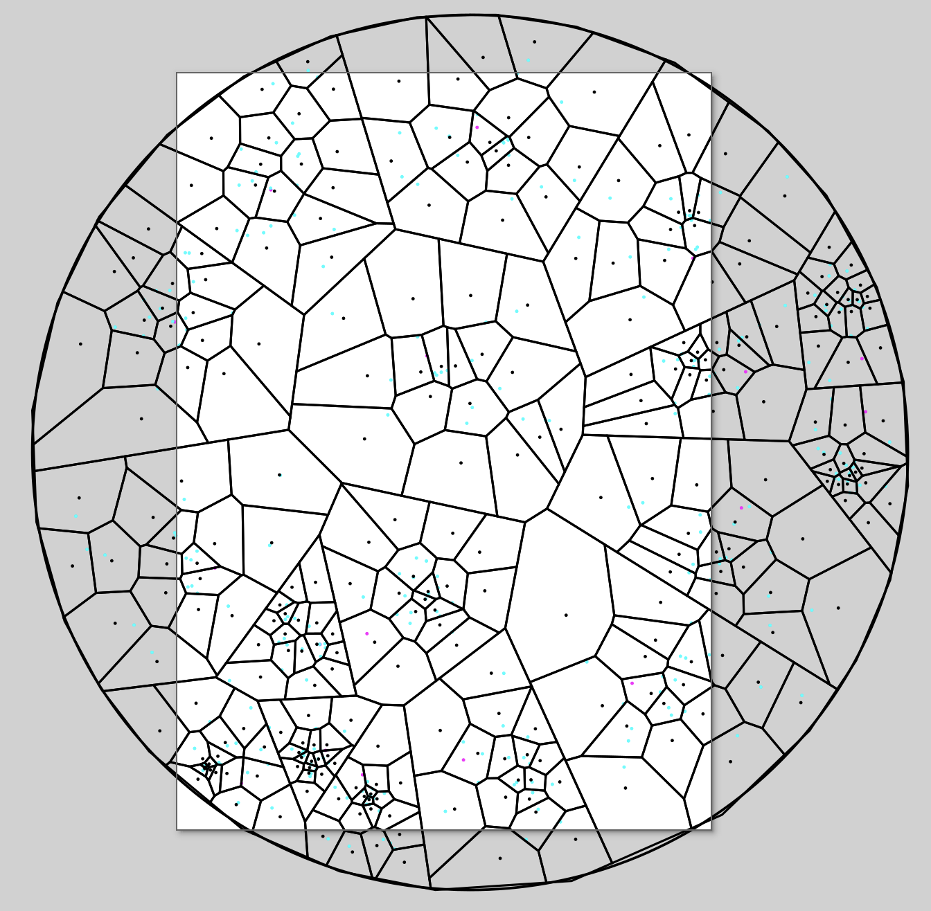Two level Voronoi layout in a circle.